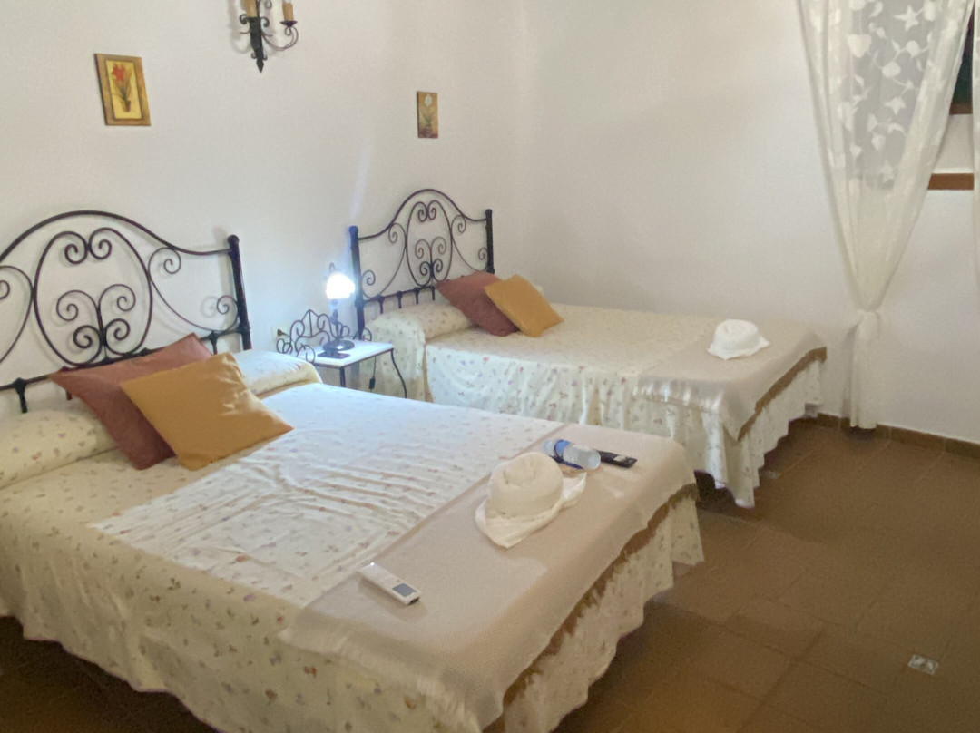 Hotel Rural Senderos De Abona主图