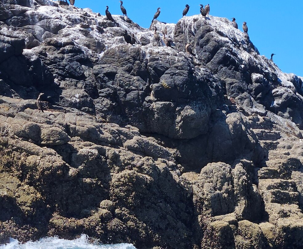Archipel Excursions-勒孔凯必去景点