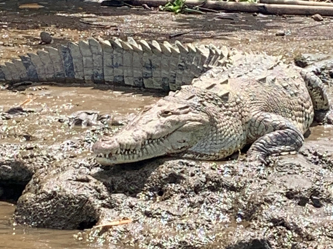 La Perla del Sur Adventures-Sierpe必去景点