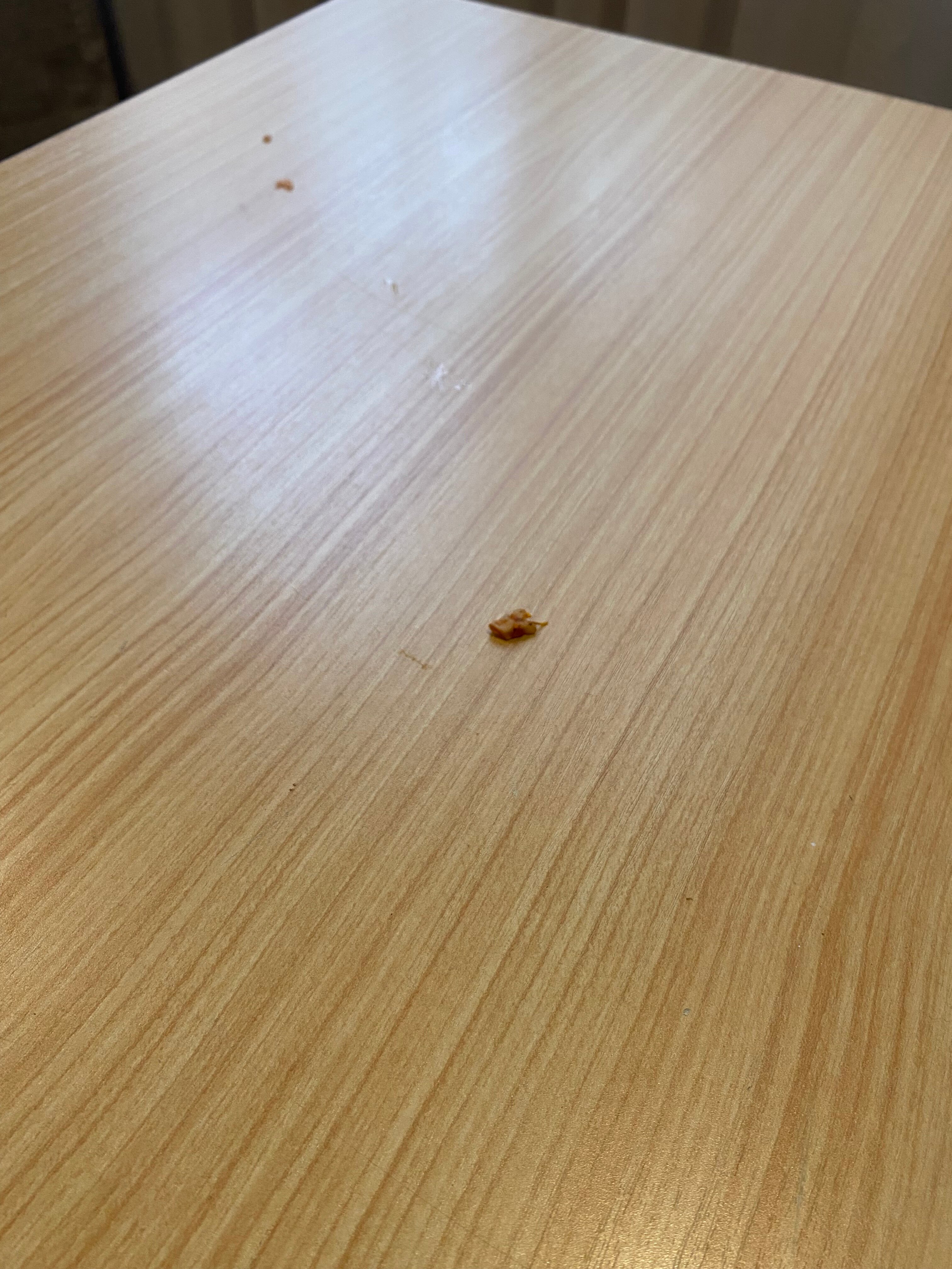 悉尼曼利 Warringah 美居酒店-官方