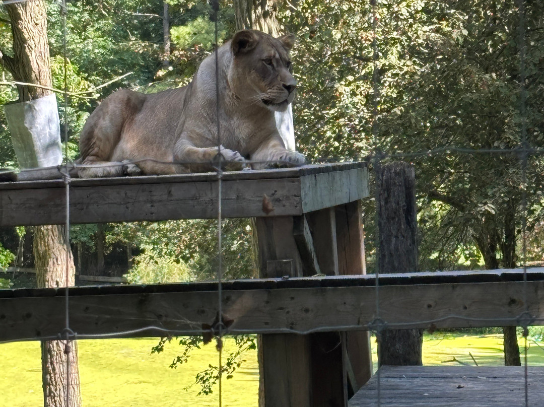 Killman Zoo-Caledonia必去景点