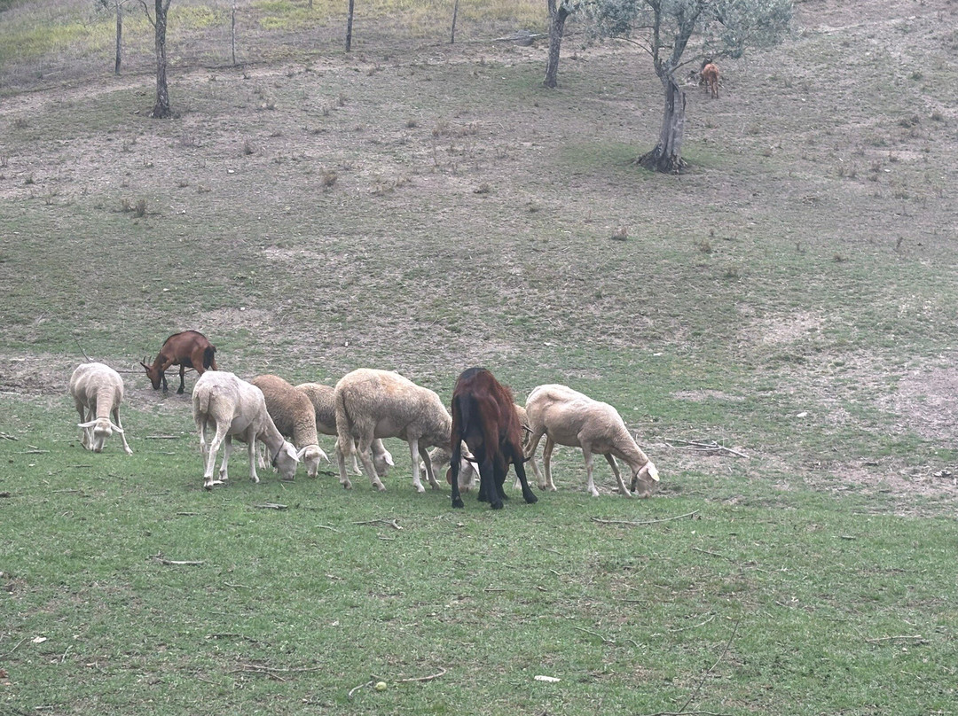 B&B Podere Badia主图