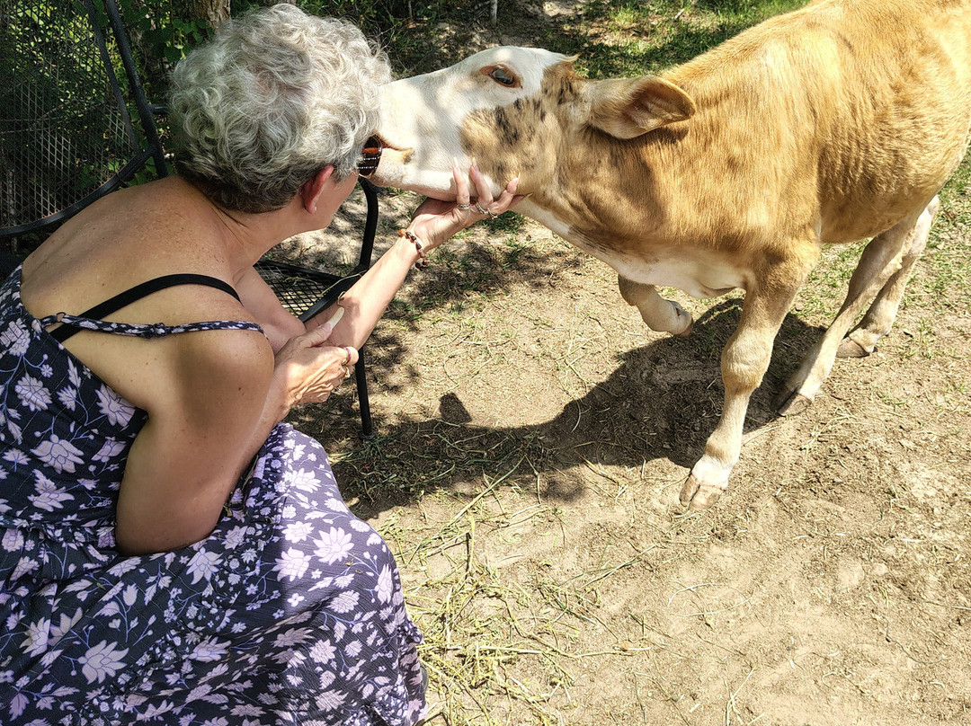 Turquoise Acres Ranch-卡蒂必去景点