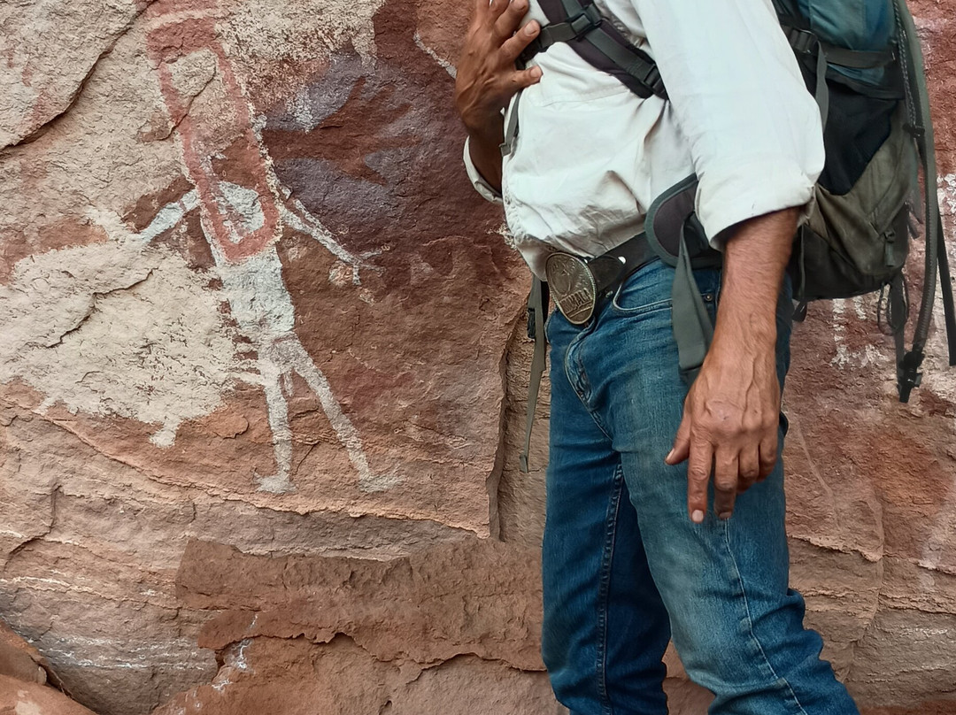 Jarramali Rock Art Tours-凯恩斯必去景点