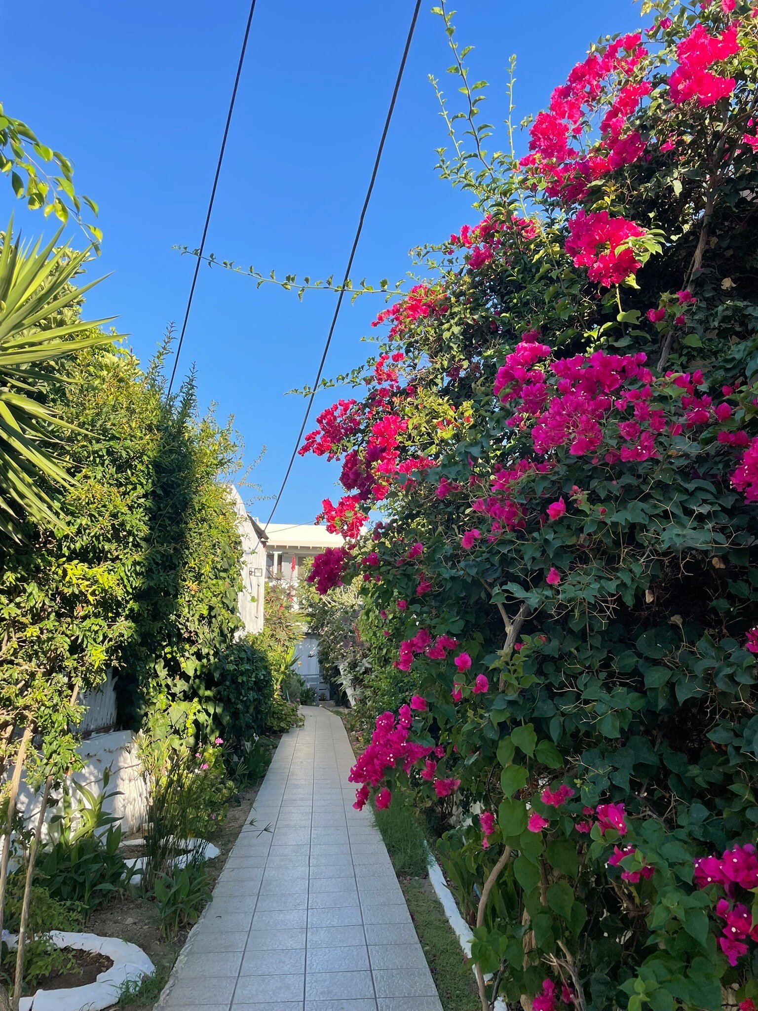 Marianna Guest House-官方