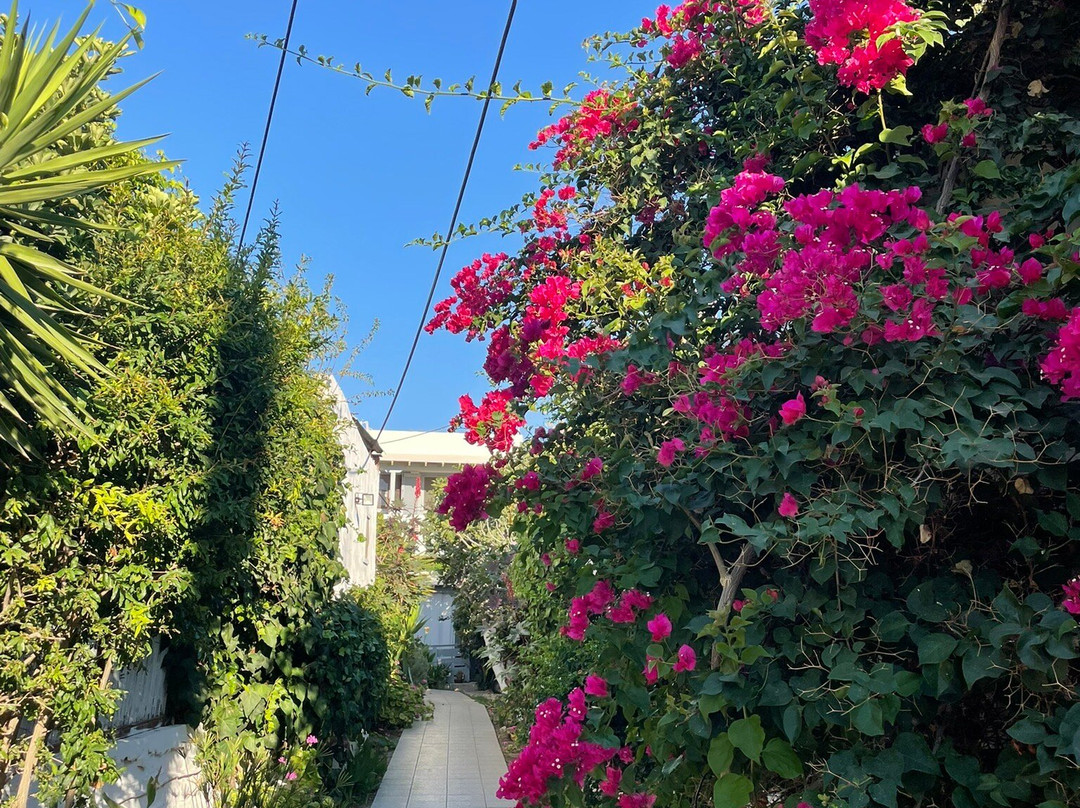 Marianna Guest House主图