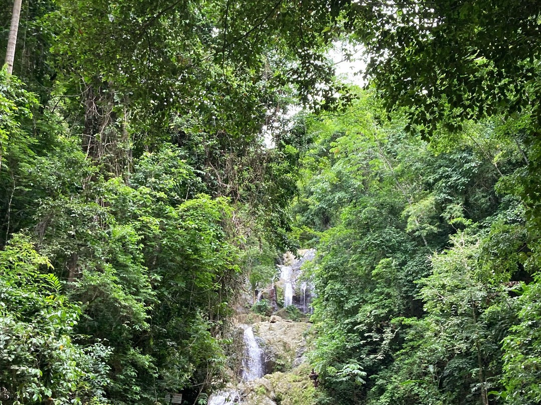 Argyle Waterfall-斯卡伯勒必去景点