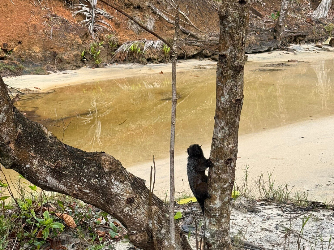 Prainha Beach-Itacare必去景点