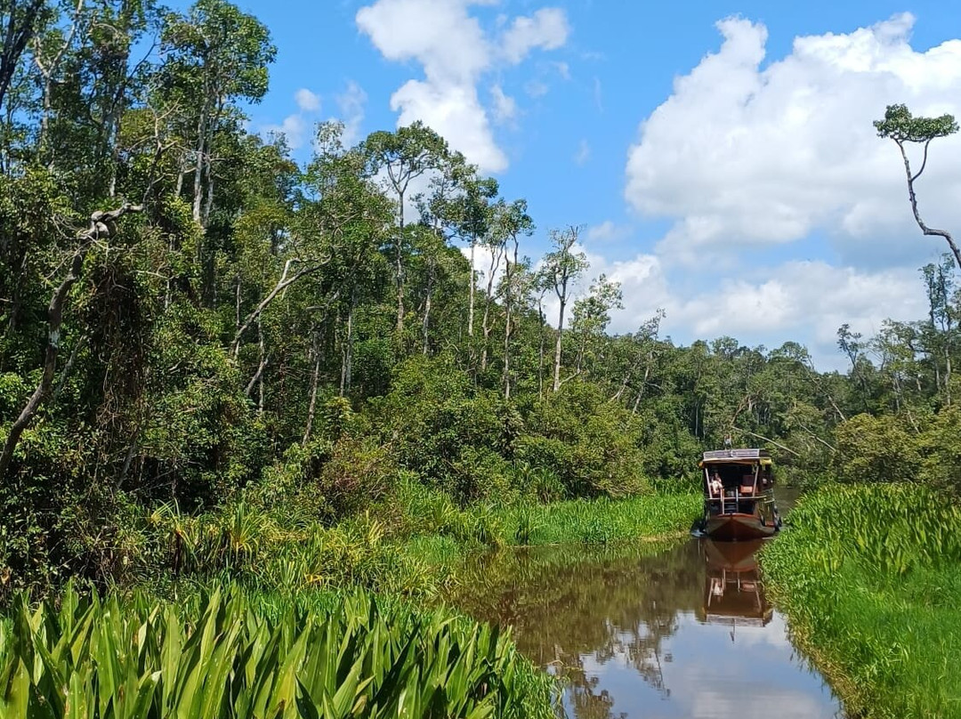 Borneo Eco Tour-Pangkalan Bun必去景点