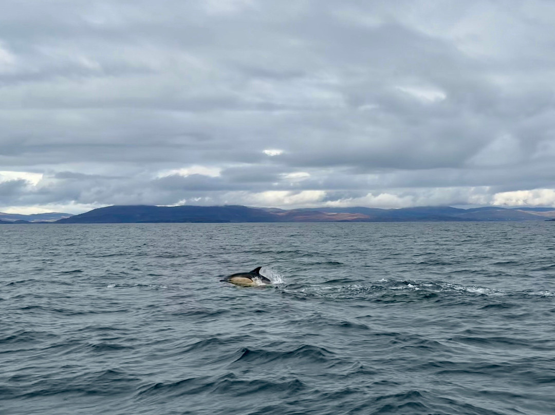Staffa Trips-Isle of Iona必去景点