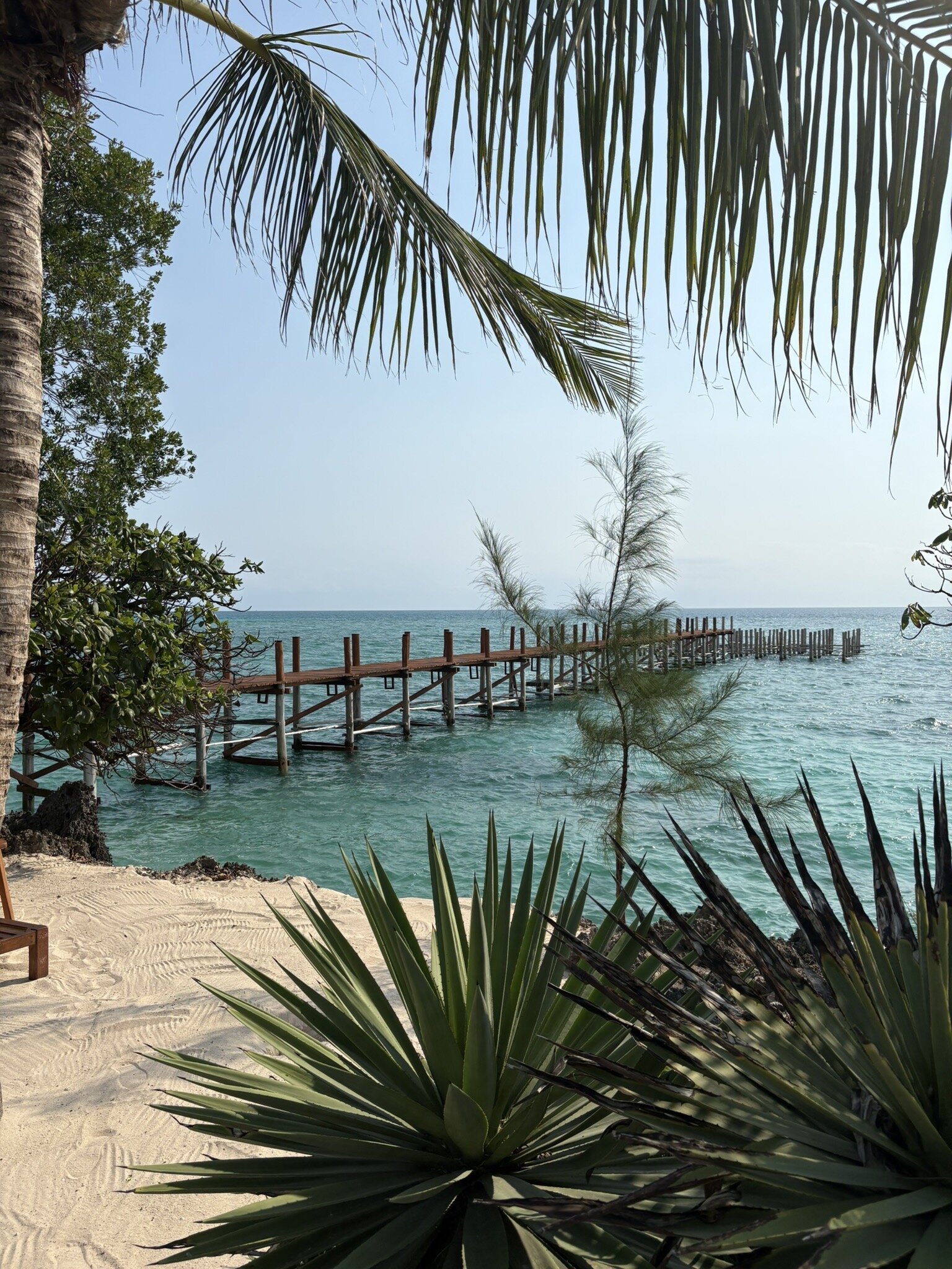 Fruit & Spice Wellness Resort Zanzibar-官方