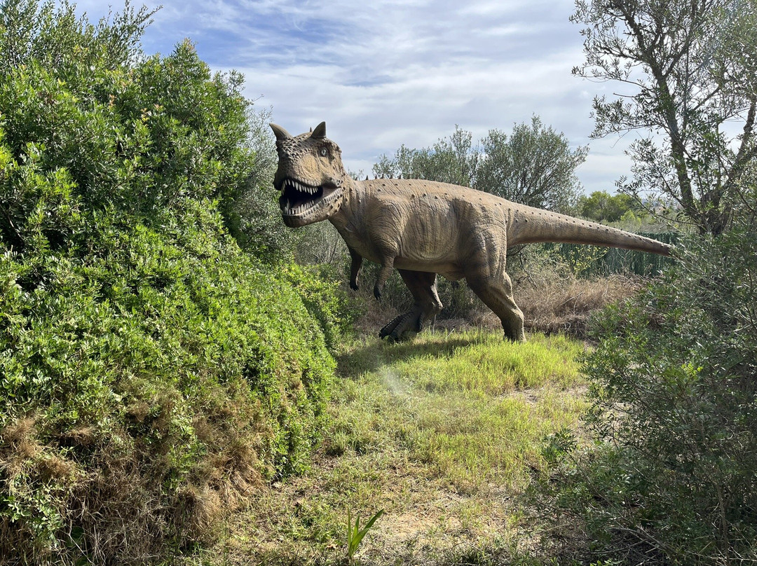 Dinosaurland-克里斯托港必去景点