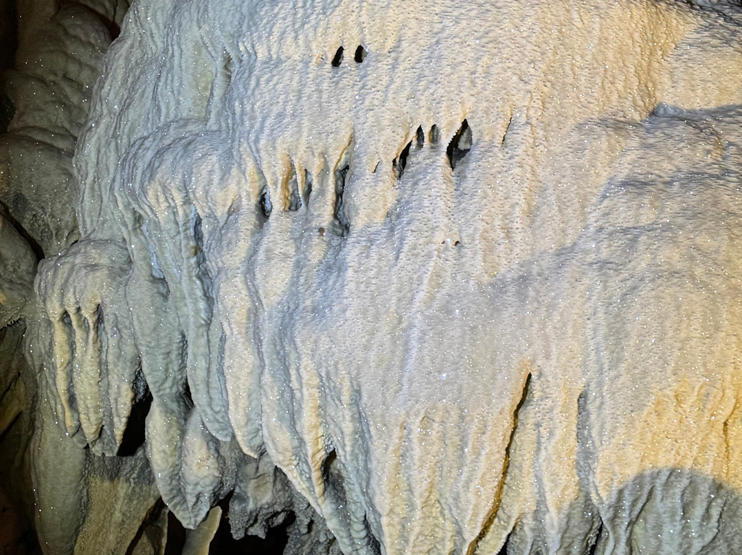 La Grotte Des Demoiselles-Saint-Bauzille-de-Putois必去景点