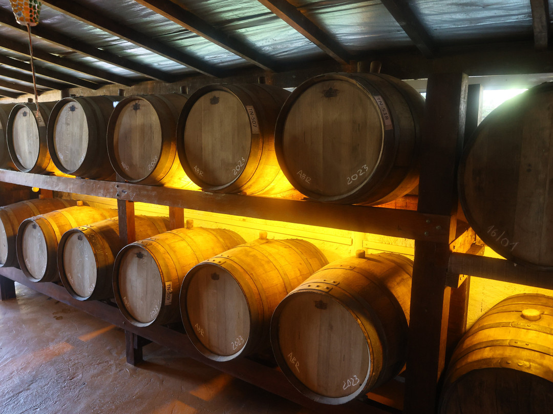 Alambique Cachaça Pedra Branca-帕拉地必去景点