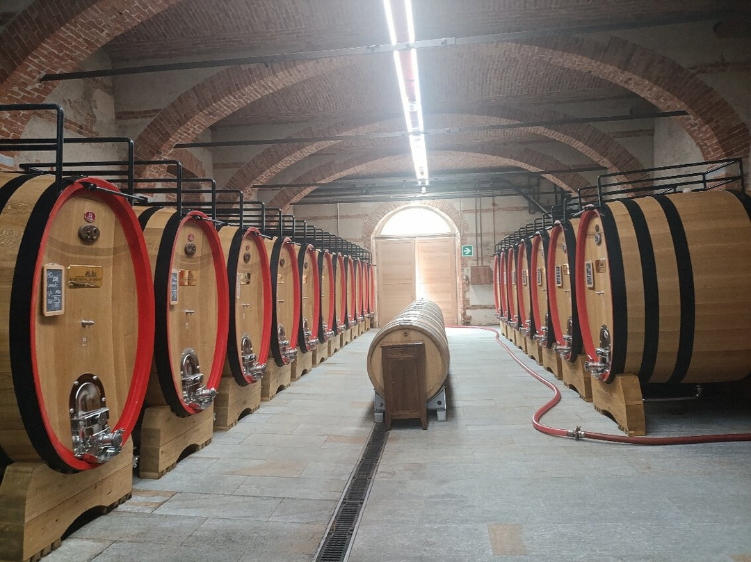 Antiche Cantine Marchesi Di Barolo-巴罗洛必去景点