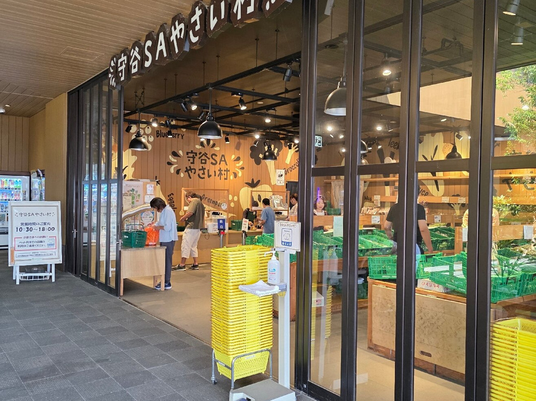 Pasar Moriya-守谷市必去景点