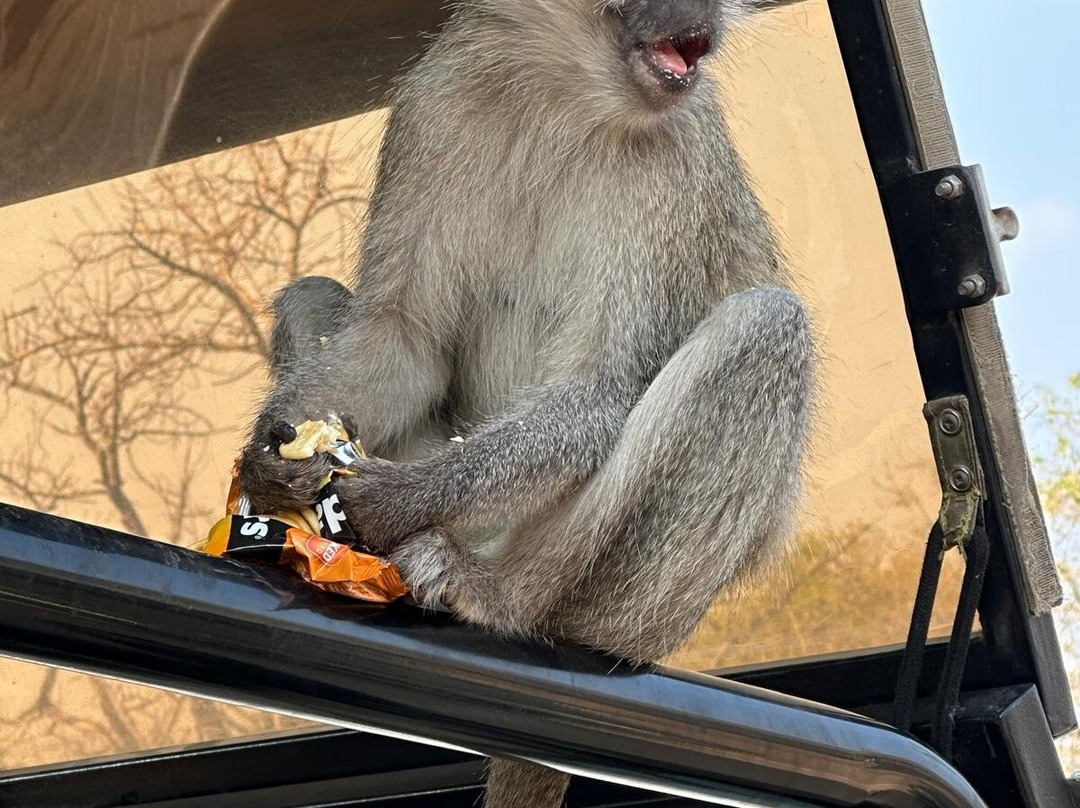 On Safari Africa-雾观必去景点