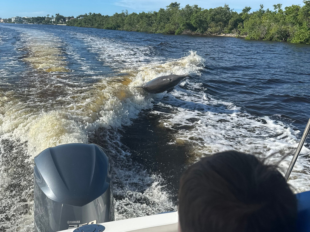 Suncoast Adventure Tours And Charters-Osprey必去景点