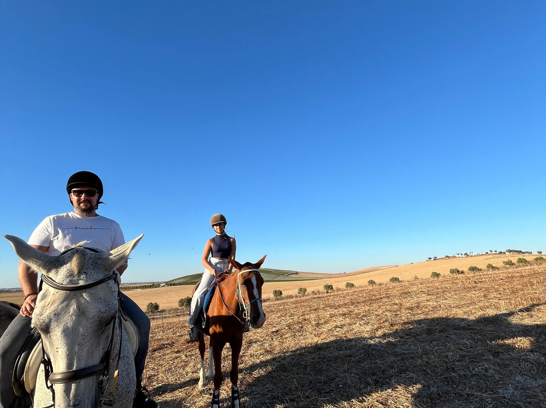 Al-Mesquid Stables-Sanlucar de Barrameda必去景点