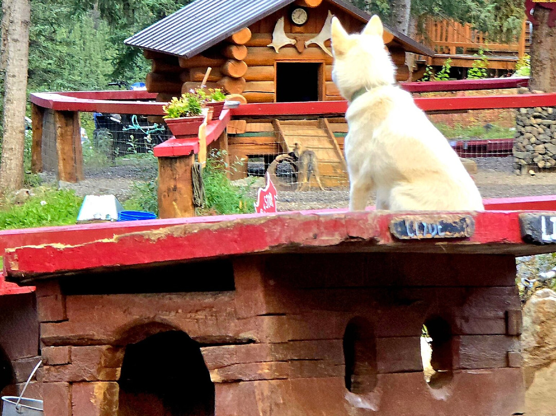 Husky Homestead-德纳利国家公园和自然保护区必去景点