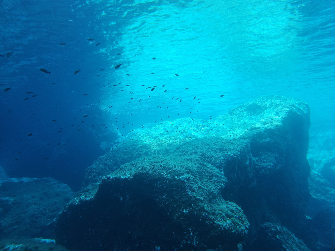 Orca Diving Ustica-Ustica必去景点