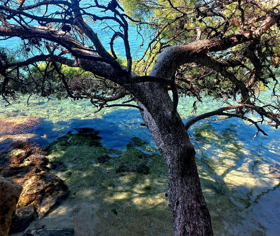 Brela Beach-布雷拉必去景点