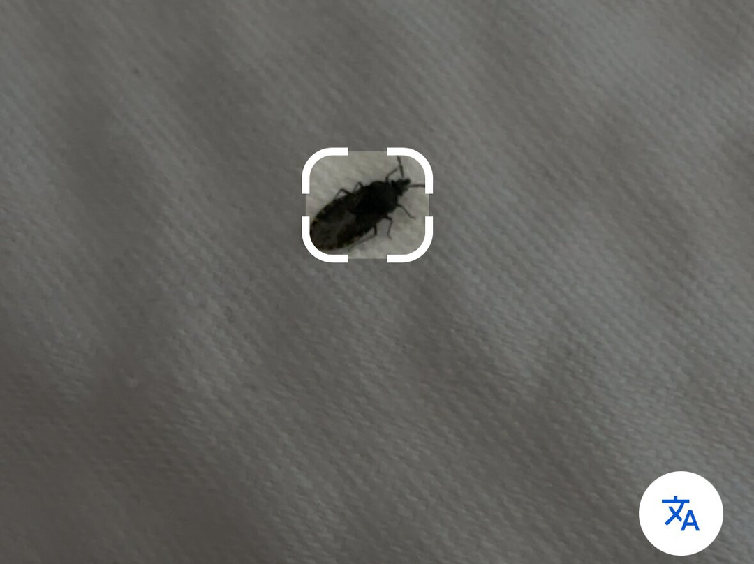 SpringHill Suites by Marriott Wenatchee主图