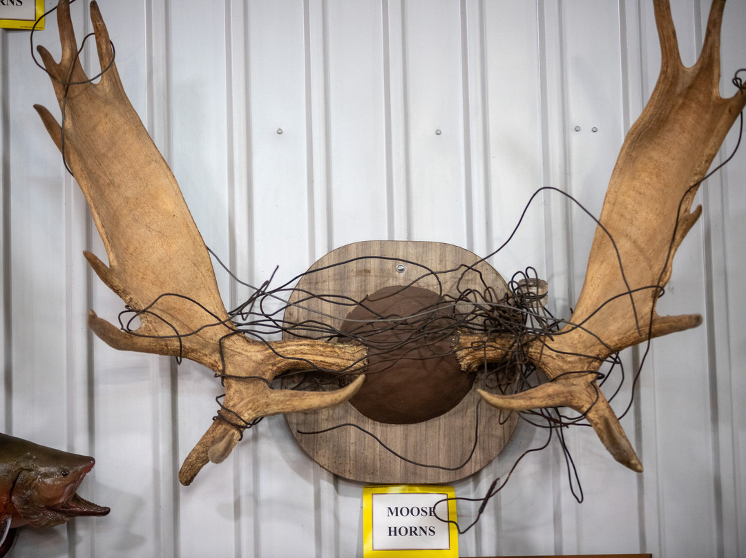 Grice Clearfield Community Museum-克利尔菲必去景点