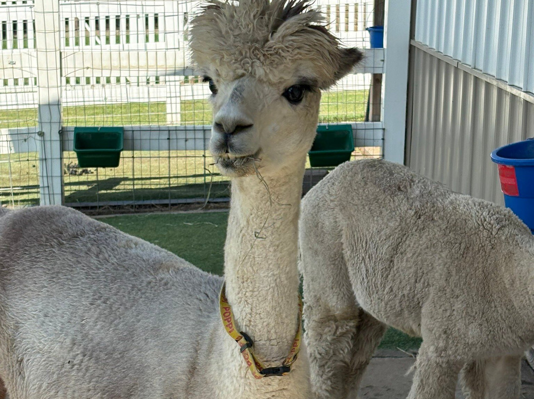 Eagle Eye Farm-River Falls必去景点