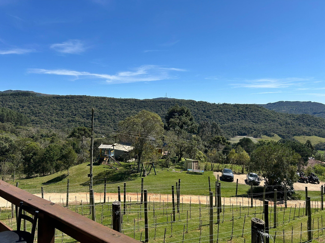 Goyah Vinhos E Vinhedos