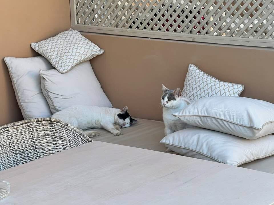 Thalassa Boutique Hotel Kefalonia-客卧