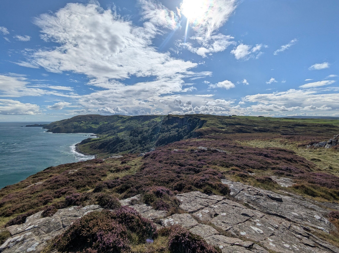 Away A Wee Walk-贝尔法斯特必去景点