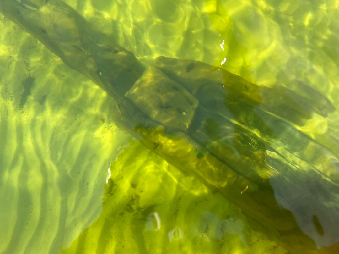 Pictured Rocks Kayaking-缪尼辛必去景点