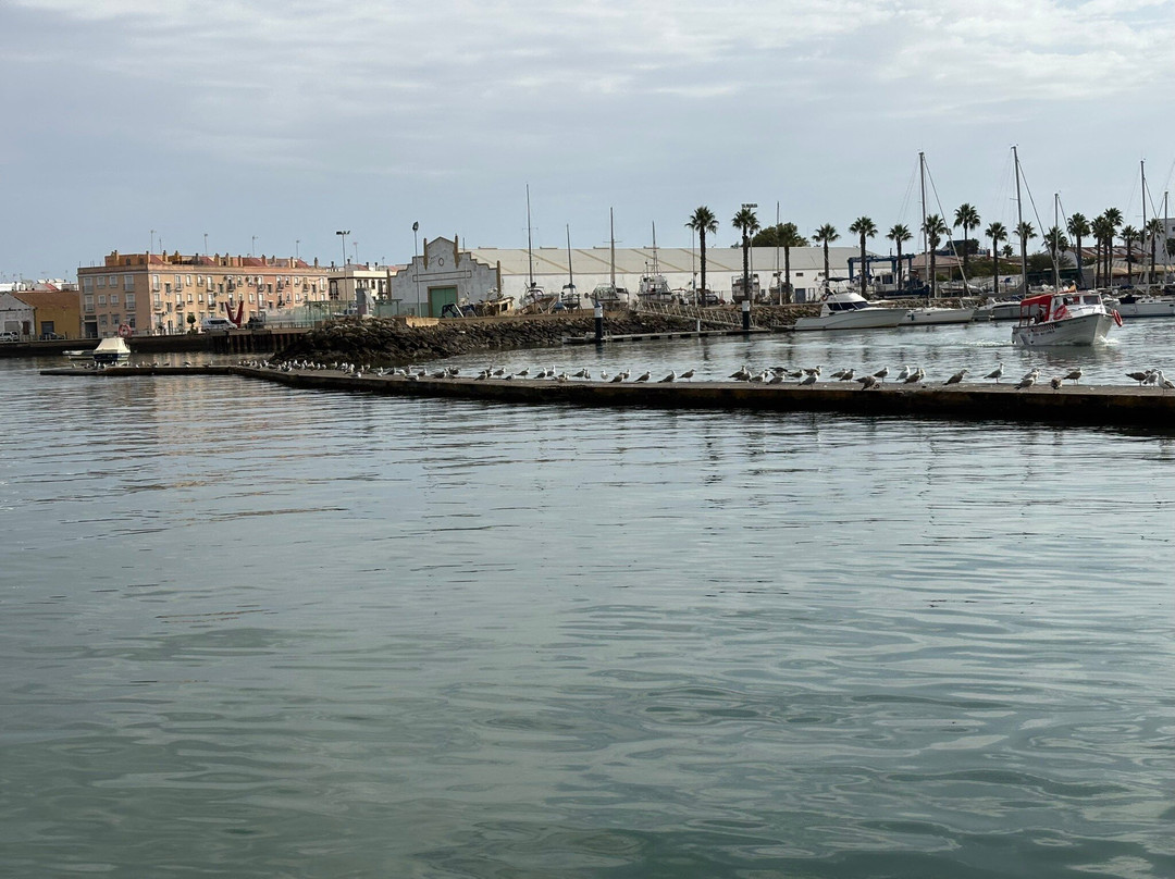 Excursiones Maritimas Isleñas Isla Canela-韦尔瓦必去景点