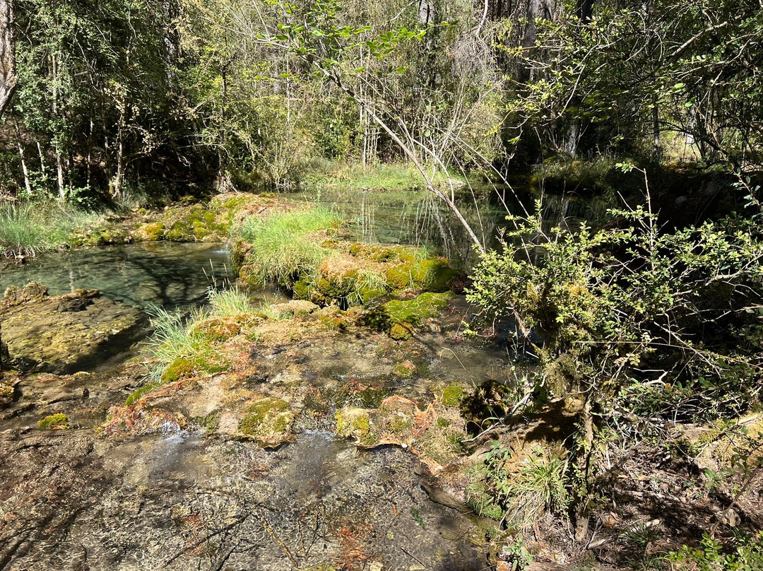 Nacimiento Del Rio Cuervo-Vega del Codorno必去景点