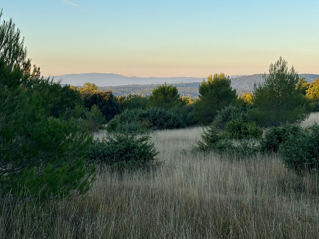 Domaine de la Blaque主图