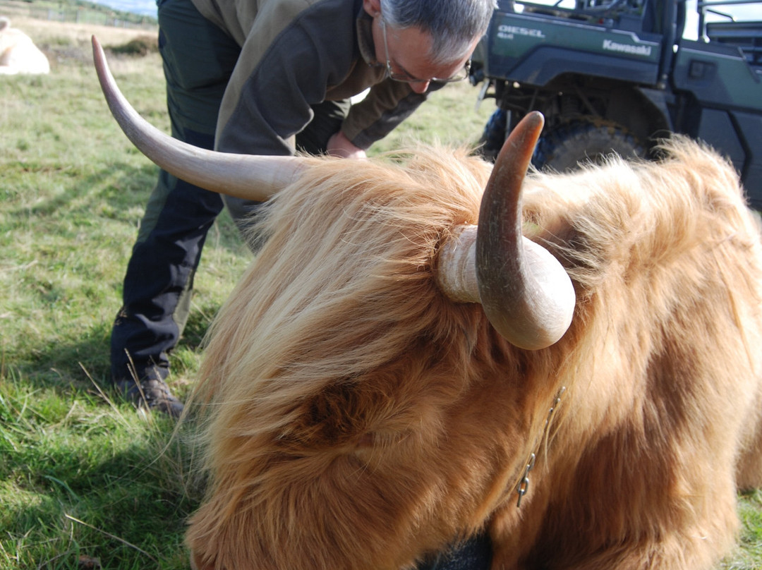 Bowland Trails-Blairgowrie必去景点