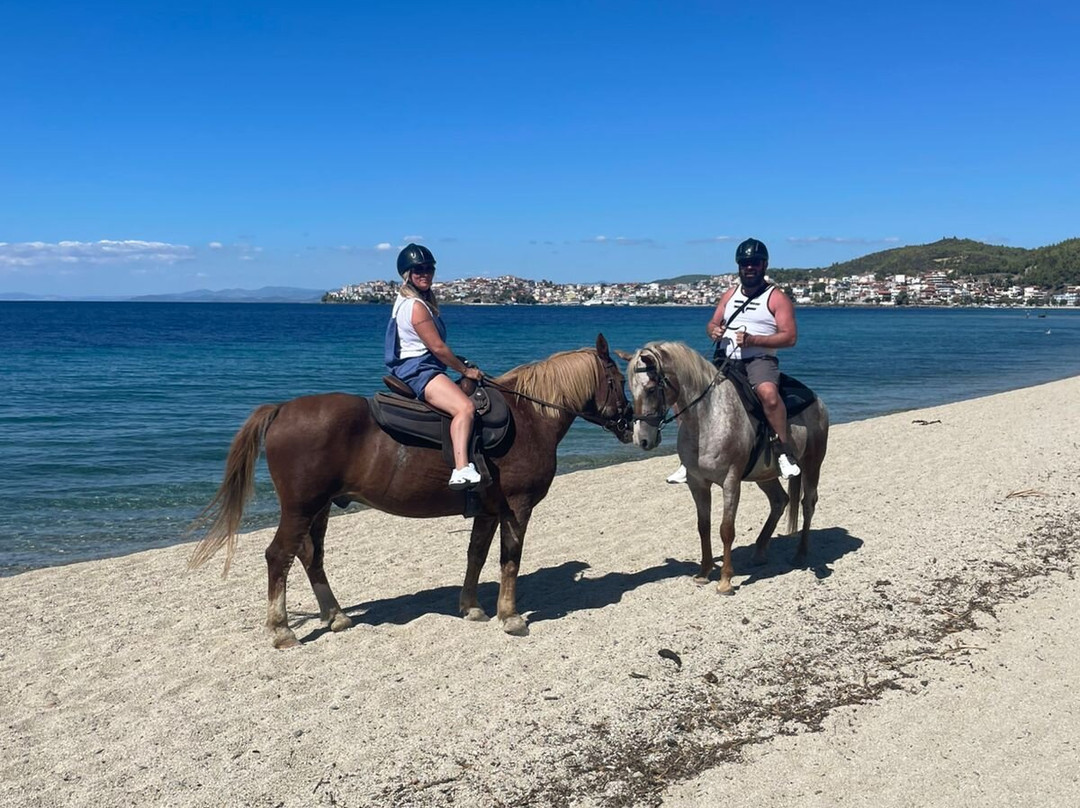 Ziogas Riding Center-Neos Marmaras必去景点