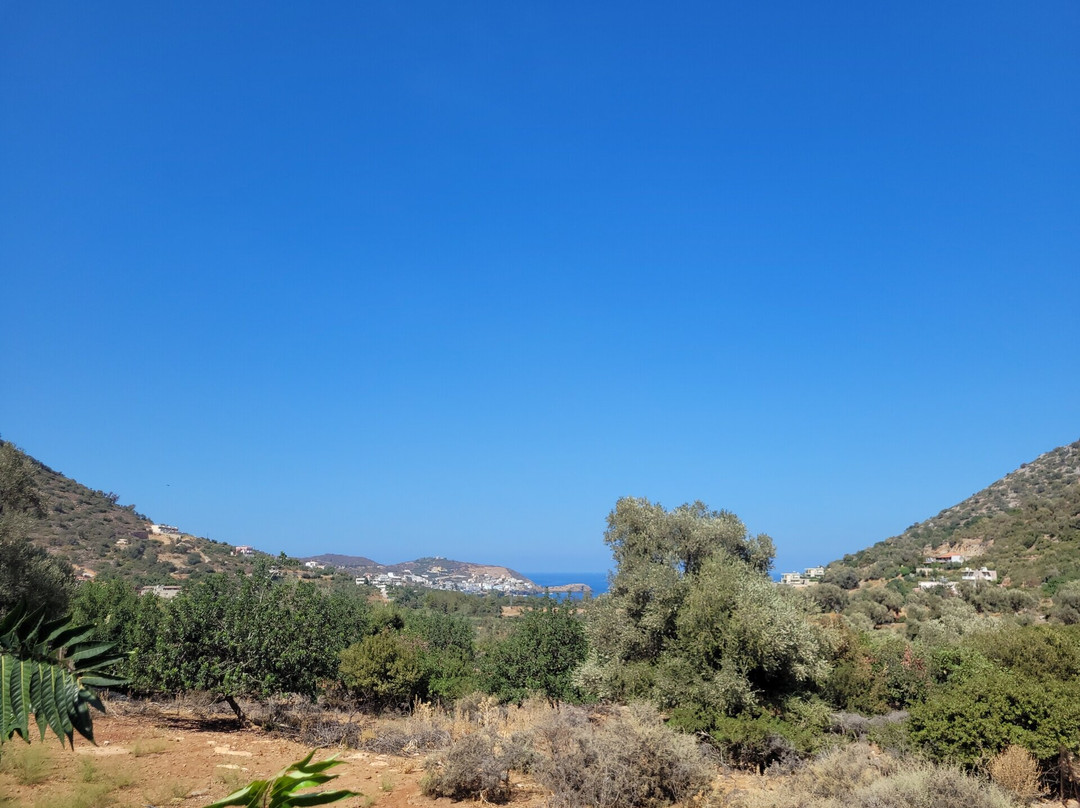 T Hotel Premium Suites主图