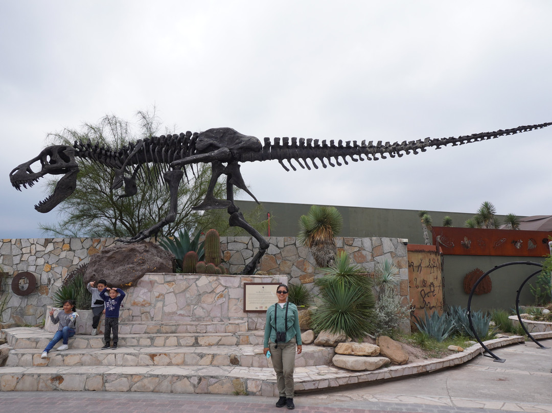 Museo del Desierto-萨尔蒂必去景点