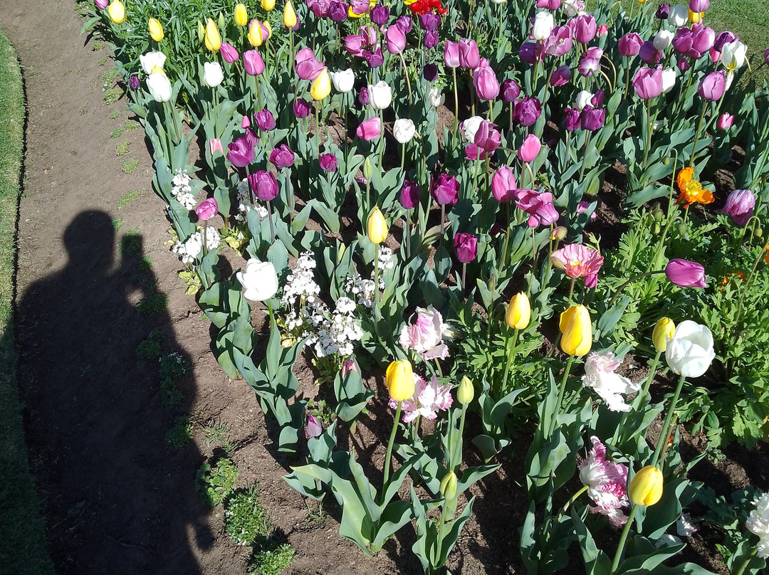 Central Deborah Motel主图