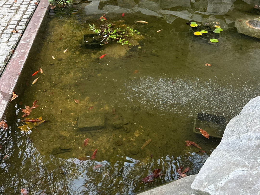 Hôtel De Cavoye主图