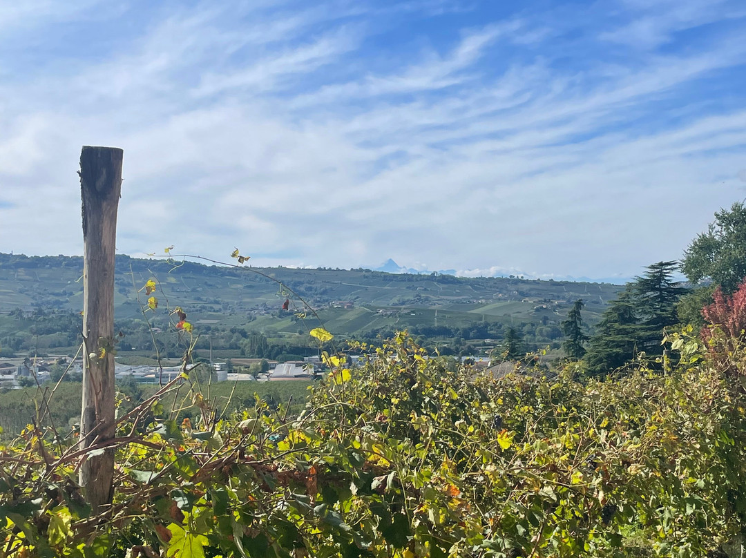 Agriturismo Tetto Garrone主图