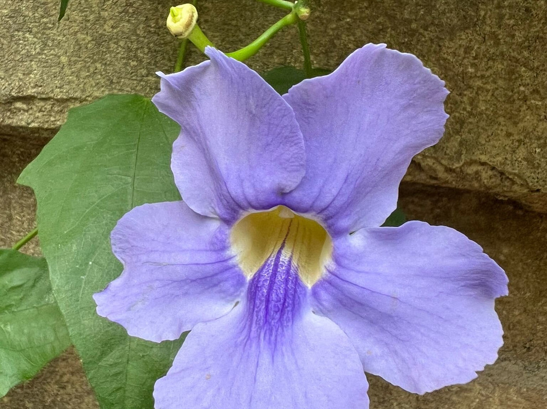 Zoo Leipzig-莱比锡必去景点