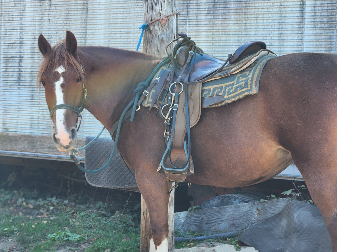South Algonquin Trails-Harcourt必去景点
