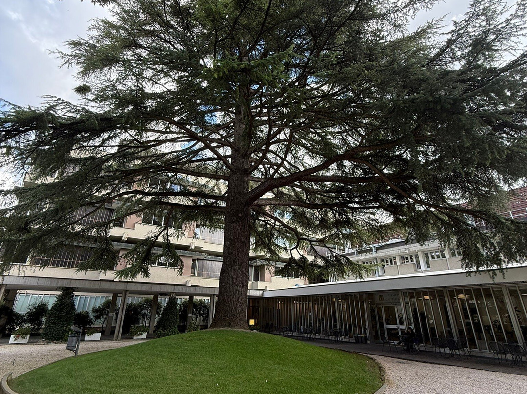 Parco delle Terme-Castrocaro Terme e Terra del Sole必去景点