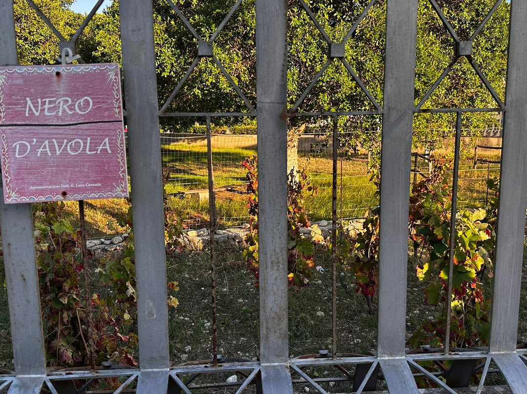 Museo della Mandorla di Avola-Avola必去景点