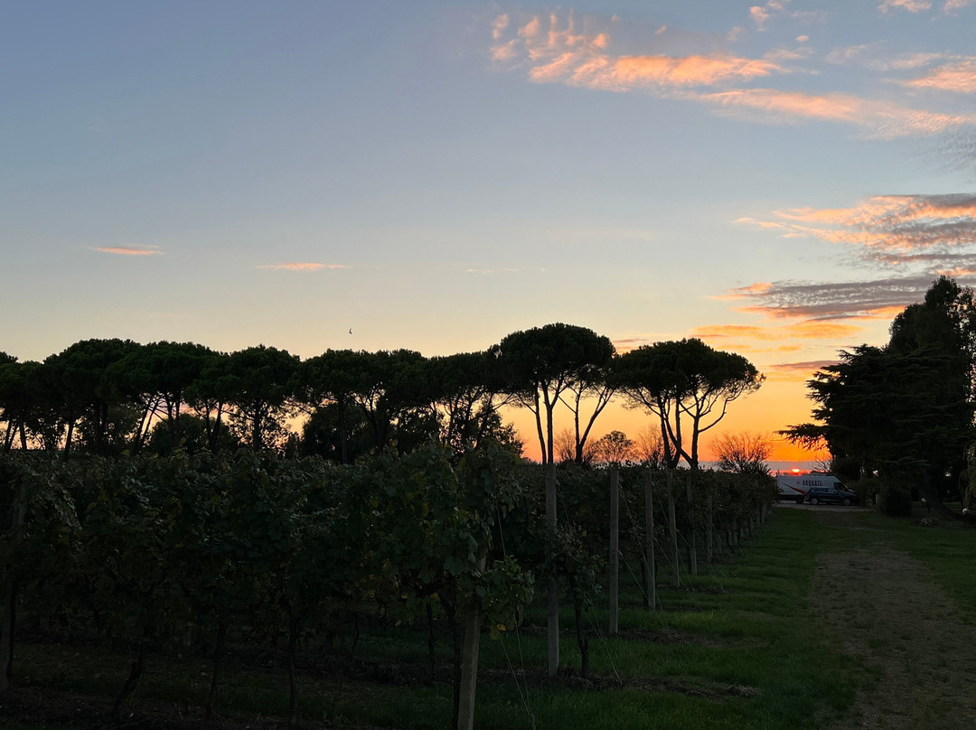 AGRITURISMO LE CIPRESSINE主图