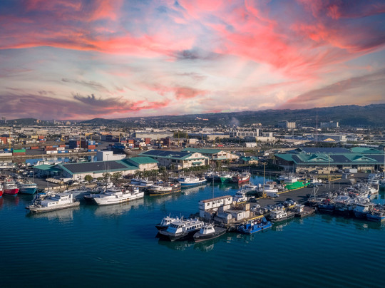 火奴鲁鲁鲜鱼拍卖会-火奴鲁鲁必去景点