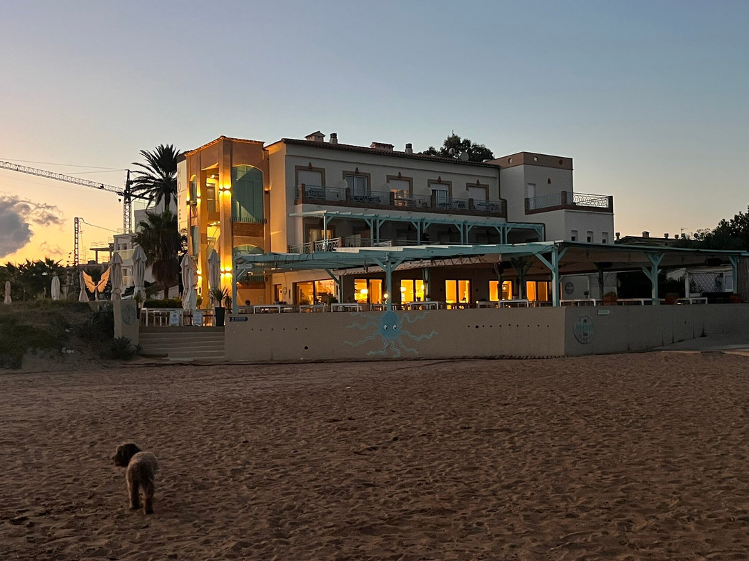 Noguera Mar Hotel主图